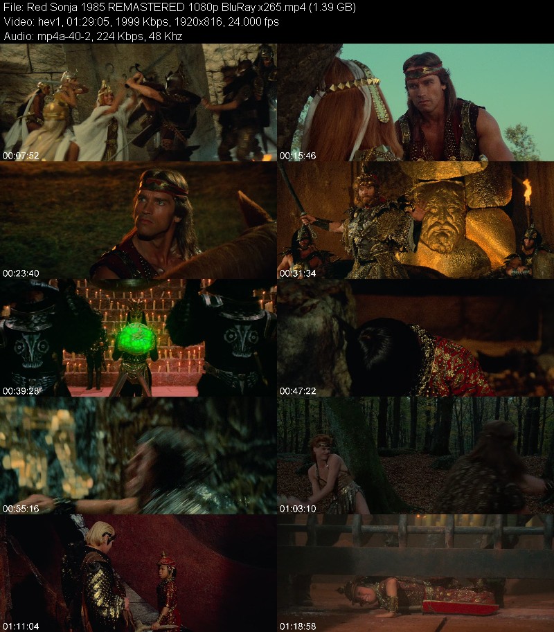 Red Sonja 1985 REMASTERED 1080p BluRay x265 6cc3a00d68d6c493559750968d7ee8c7