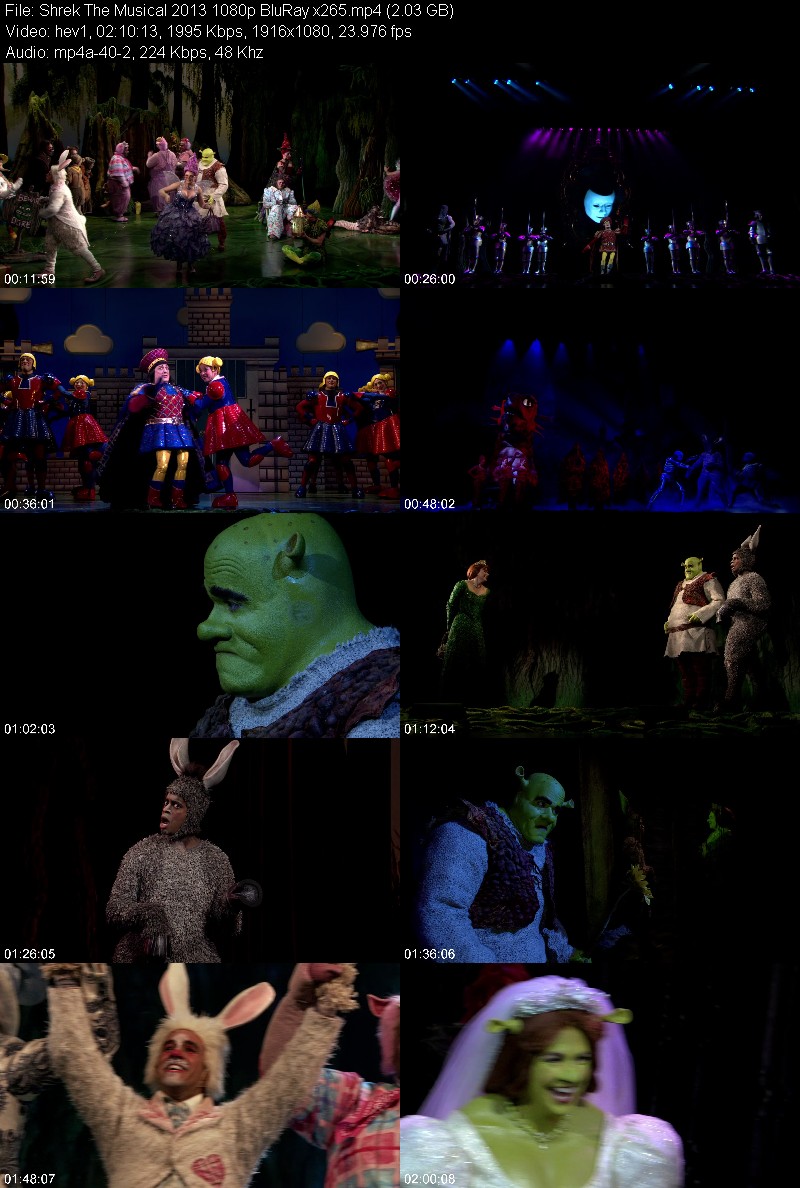 Shrek The Musical 2013 1080p BluRay x265 6f639dc9d47606ece82191b1f2308efe