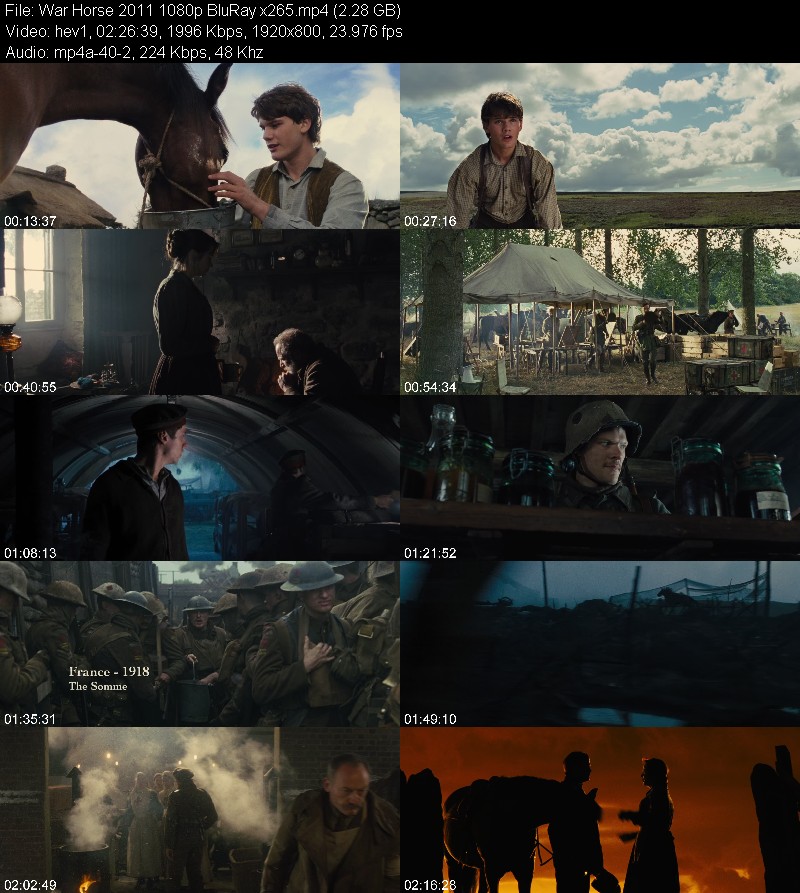 War Horse 2011 1080p BluRay x265 75b64f41239ea2faea96b958c604040a