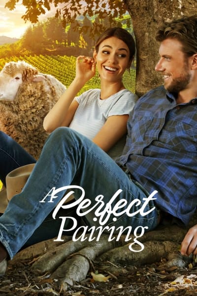 A Perfect Pairing 2022 1080p WEBRip x265 Cd31948b1492818369fbef19787f6942