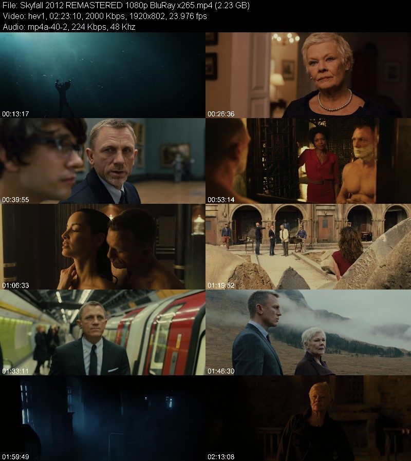 Skyfall 2012 REMASTERED 1080p BluRay x265 Bcfec6bdebab0f809c2d35fbbda4c269