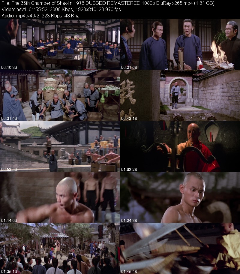 The 36th Chamber of Shaolin 1978 DUBBED REMASTERED 1080p BluRay x265 1ca51893740d0433e18b6e5a6852607b