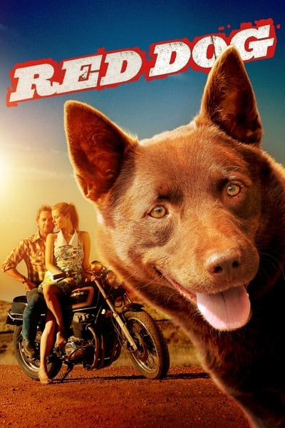 Red Dog 2011 1080p BluRay x265 107c4503f32c5dde98a716fa7a21dd81