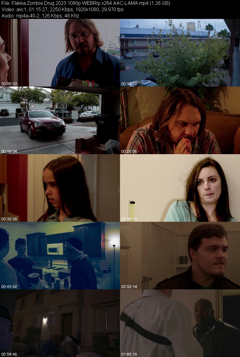 Flakka Zombie Drug (2023) 1080p WEBRip-LAMA 600a4be2edbafc29379815944e231f82