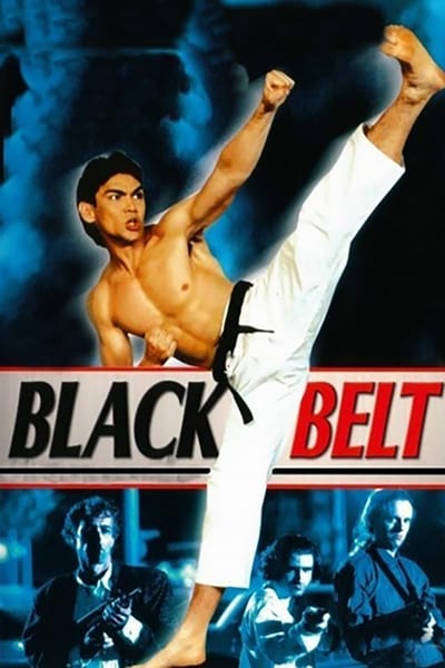 Blackbelt (1992) 1080p BluRay-LAMA 8c73a403722e8608ce11fdf932da08a8