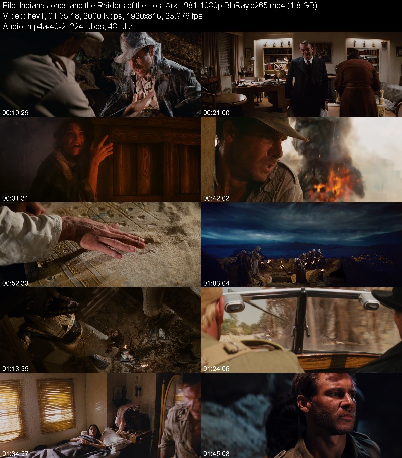 Indiana Jones and the Raiders of the Lost Ark 1981 1080p BluRay x265 8fe0139c345b0f1ff5f58f5b672c68ad