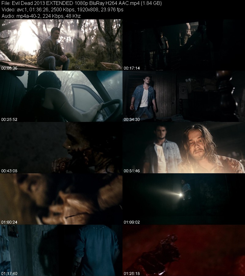 Evil Dead 2013 EXTENDED 1080p BluRay H264 AAC 7512febbf6937941d7dedcb8bff6e1af