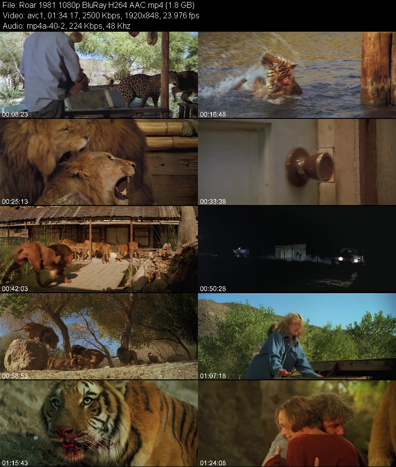 Roar 1981 1080p BluRay H264 AAC D5a728a947e4e22962affcb996f3bfb8