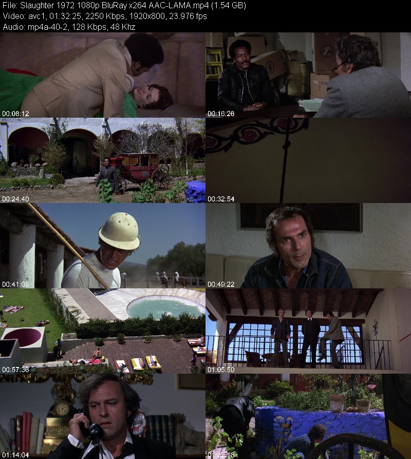 Slaughter (1972) 1080p BluRay-LAMA 746cce0d8ed0a04247386afec445f1ba