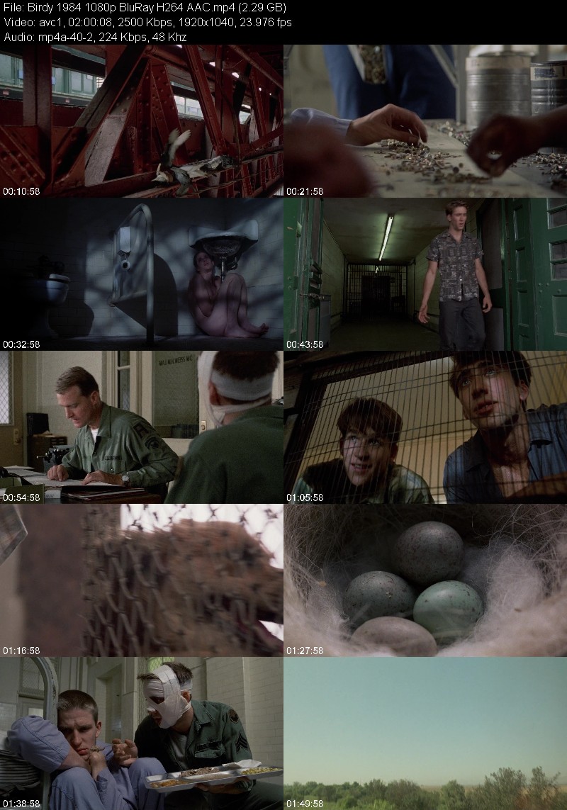 Birdy 1984 1080p BluRay H264 AAC 0923d7497ded6a9a4968a4dd5c6853bb