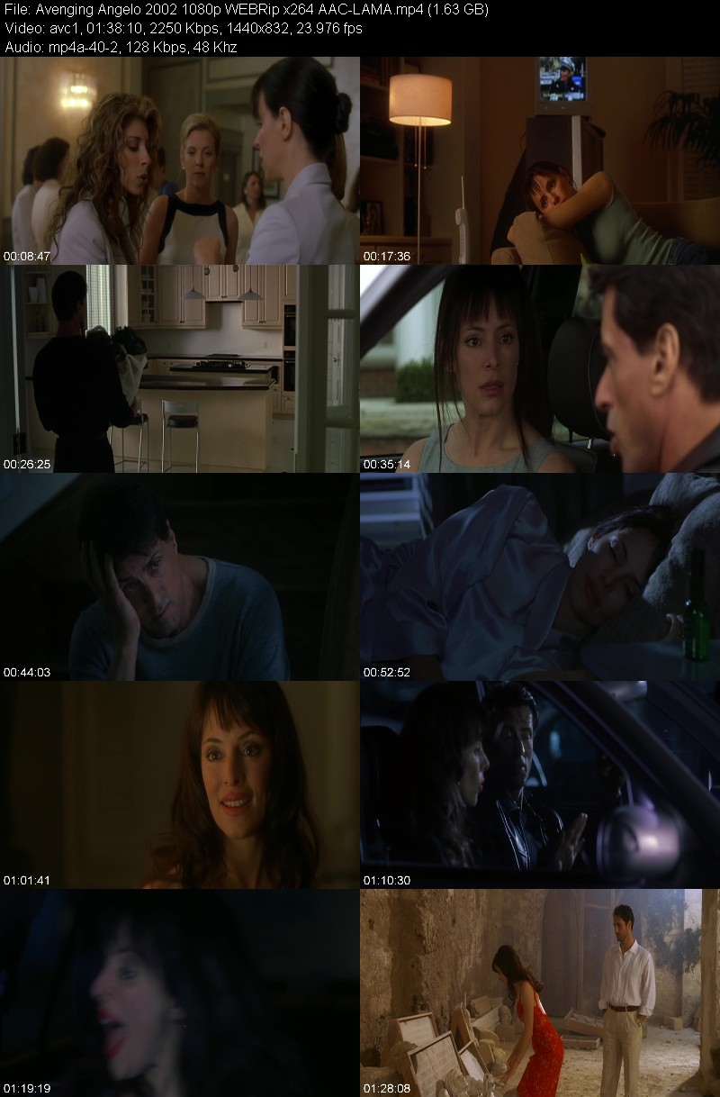 Avenging Angelo (2002) 1080p WEBRip-LAMA 49603d8a1cd80f528be9505a90dbfcc8