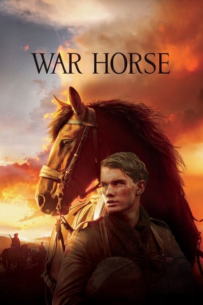 War Horse 2011 1080p BluRay x265 984ed30cbc55ae8e594e53ef74bedfd7