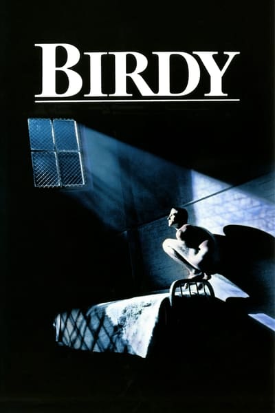 Birdy 1984 1080p BluRay H264 AAC 24b5b138a2511ac71edcfb863cd9e0da