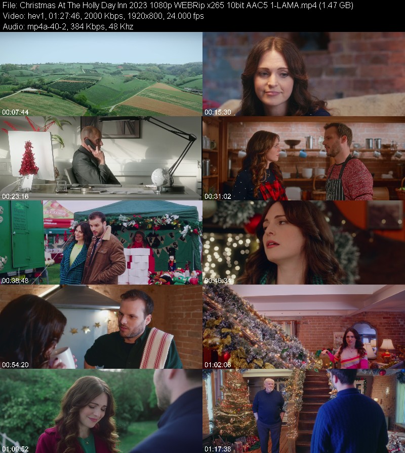 Christmas At The Holly Day Inn (2023) 1080p WEBRip x265 10bit 5 1-LAMA 62bb9d0655dc712982dc6794768664da