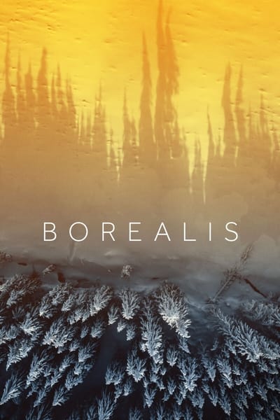 Borealis 2020 1080p WEBRip x265 59dc8db824832e5929c9b6a1e0b035dc