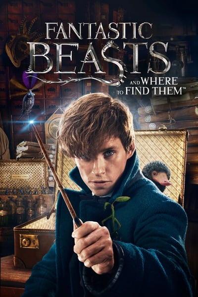 Fantastic Beasts and Where to Find Them 2016 1080p BluRay H264 AAC 8967a6f90c3d5fe36a8a9147d77b8b04