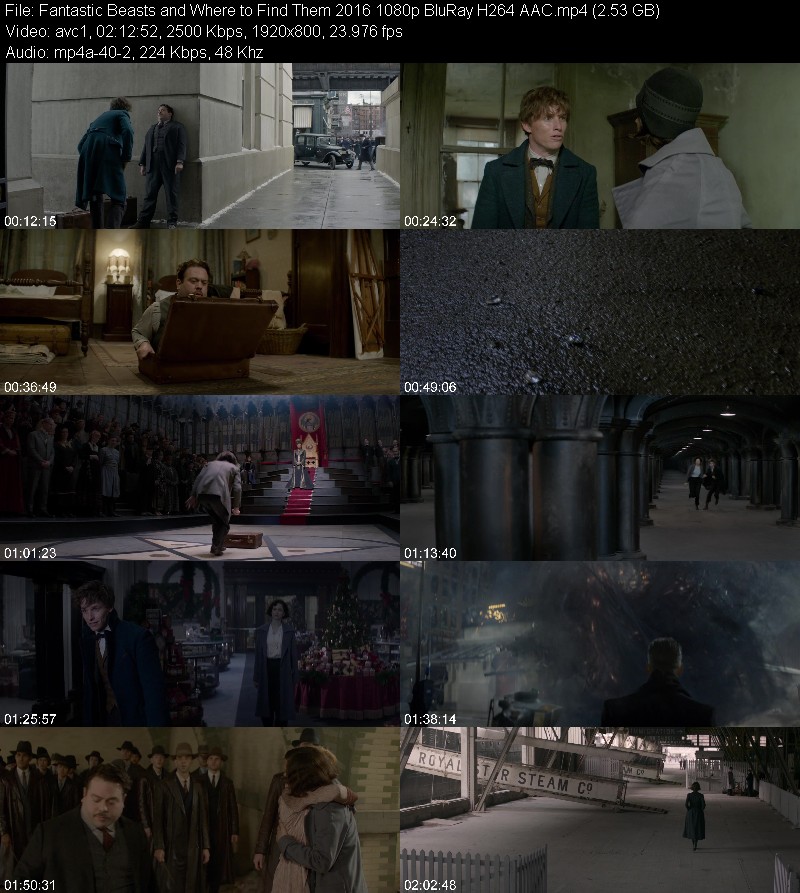 Fantastic Beasts and Where to Find Them 2016 1080p BluRay H264 AAC A160125ceacb4ca7bb1c7d30a4b44626