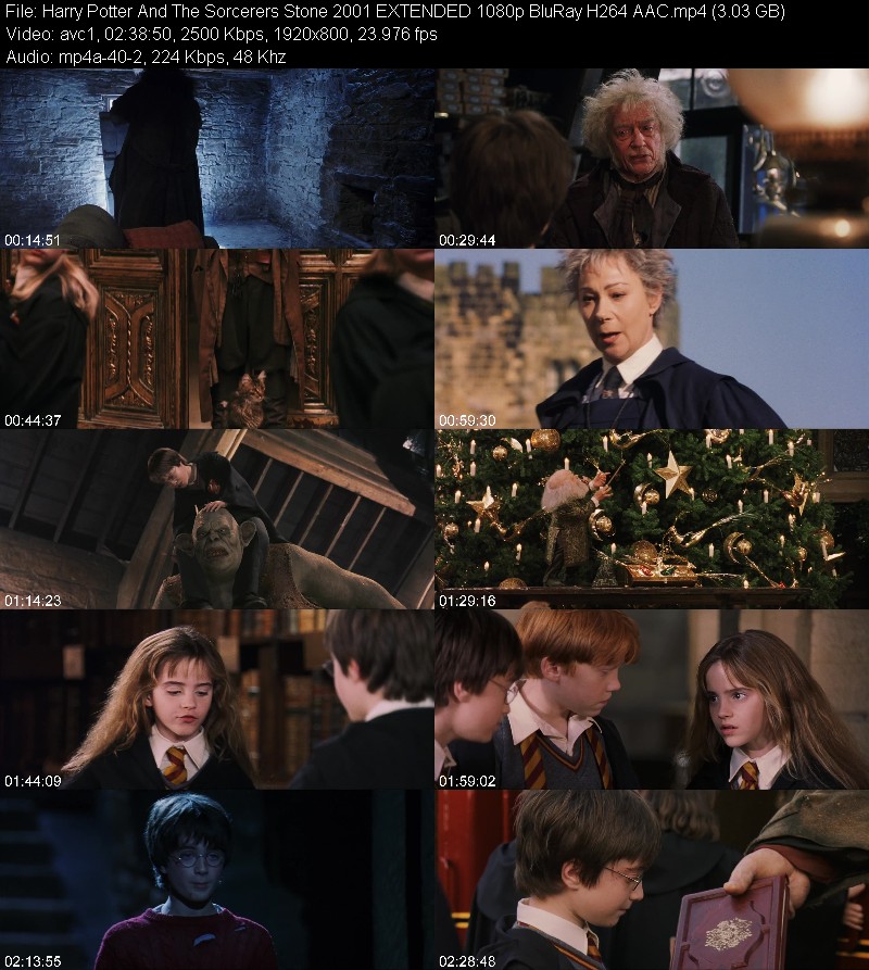 Harry Potter And The Sorcerers Stone 2001 EXTENDED 1080p BluRay H264 AAC 1879759dfc6b1030a150e393034b883f