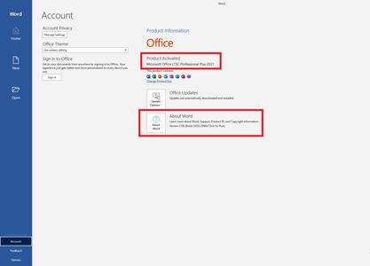 Microsoft Office 2021 LTSC Version 2108 Build 14332.20604 Preactivated Multilingual (x86/x64)  7c77be2f79a21aa4112a159291907449