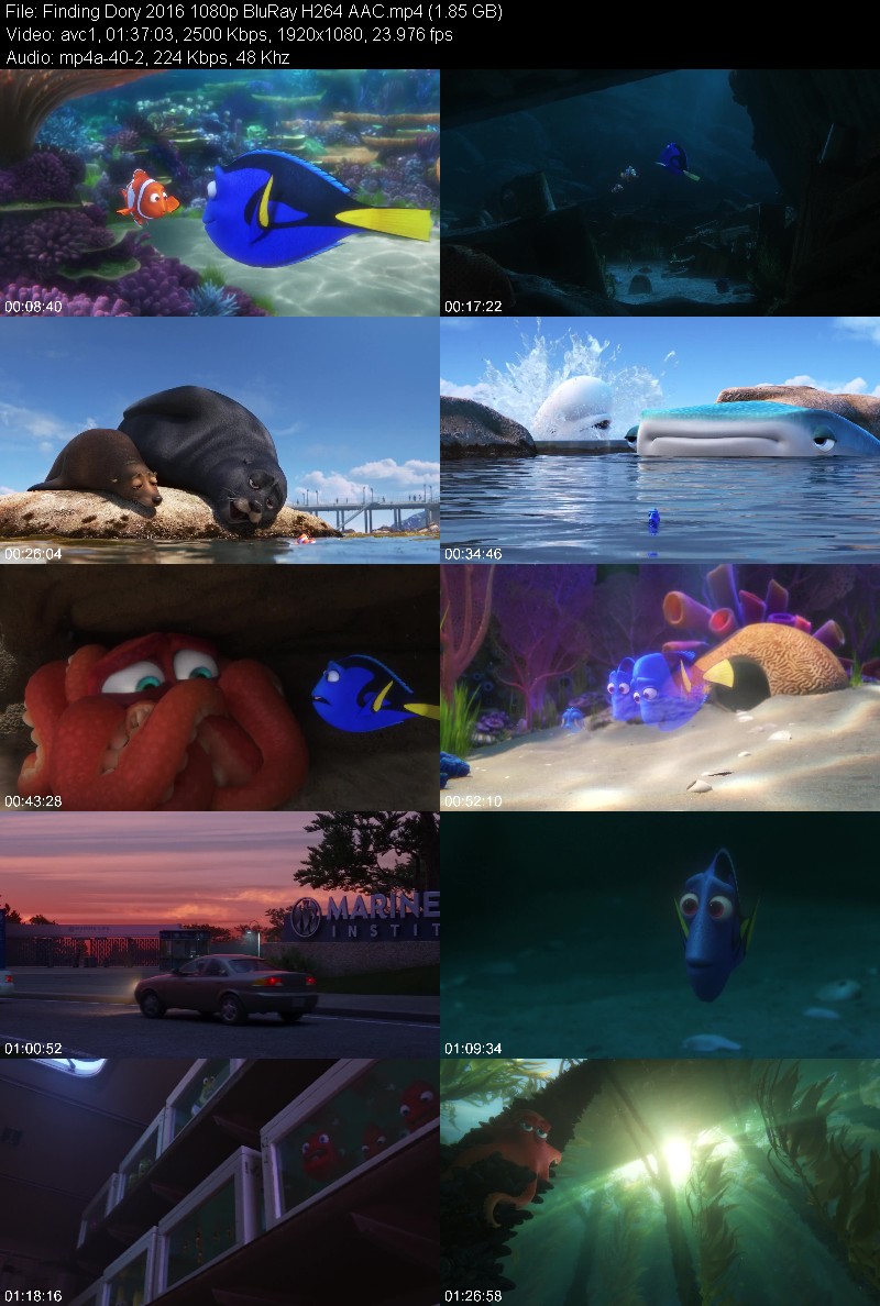 Finding Dory 2016 1080p BluRay H264 AAC 9010ade4157eae86cfe38fd1c6ae9bc5