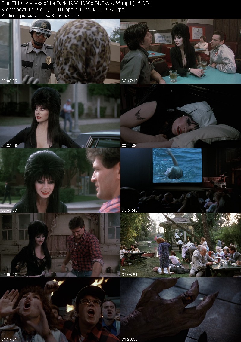 Elvira Mistress of the Dark 1988 1080p BluRay x265 373cd90747f1423f16909f67b35d8cf0