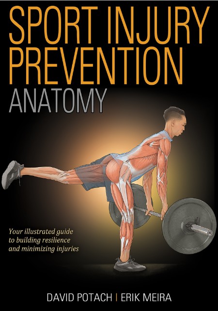 Sport Injury Prevention Anatomy by David Potach