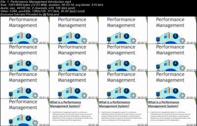 Performance Management Process & Implementation with  Example B127337019ab29e0475e42bc5d6063fa