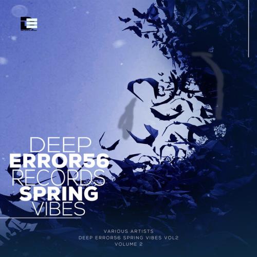 VA - Deep Error56 Records Spring Vibes Vol2 (2023) (MP3)
