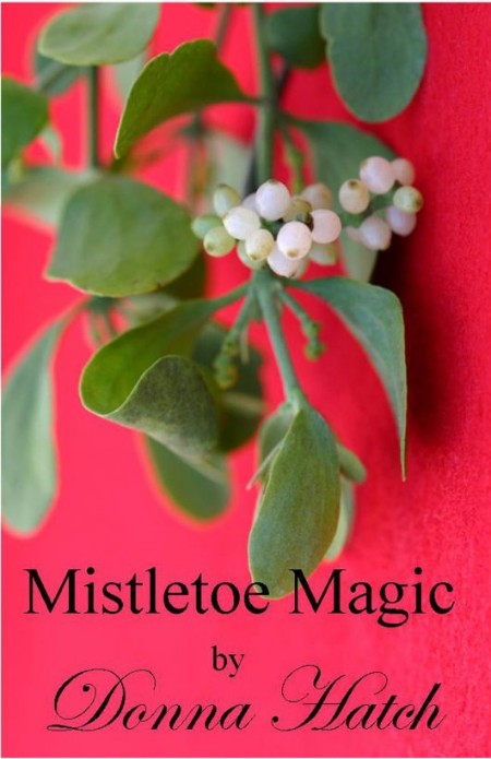 Mistletoe Magic, a Christmas Regency Short Story by Donna Hatch C4c65e7f61832f4bc8fb318464b18772