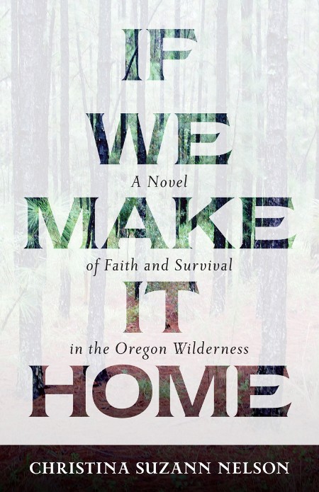 If We Make It Home by Christina Suzann Nelson