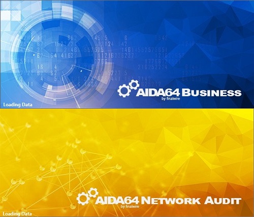 AIDA64 Business / Network Audit 7.00.6700 Multilingual