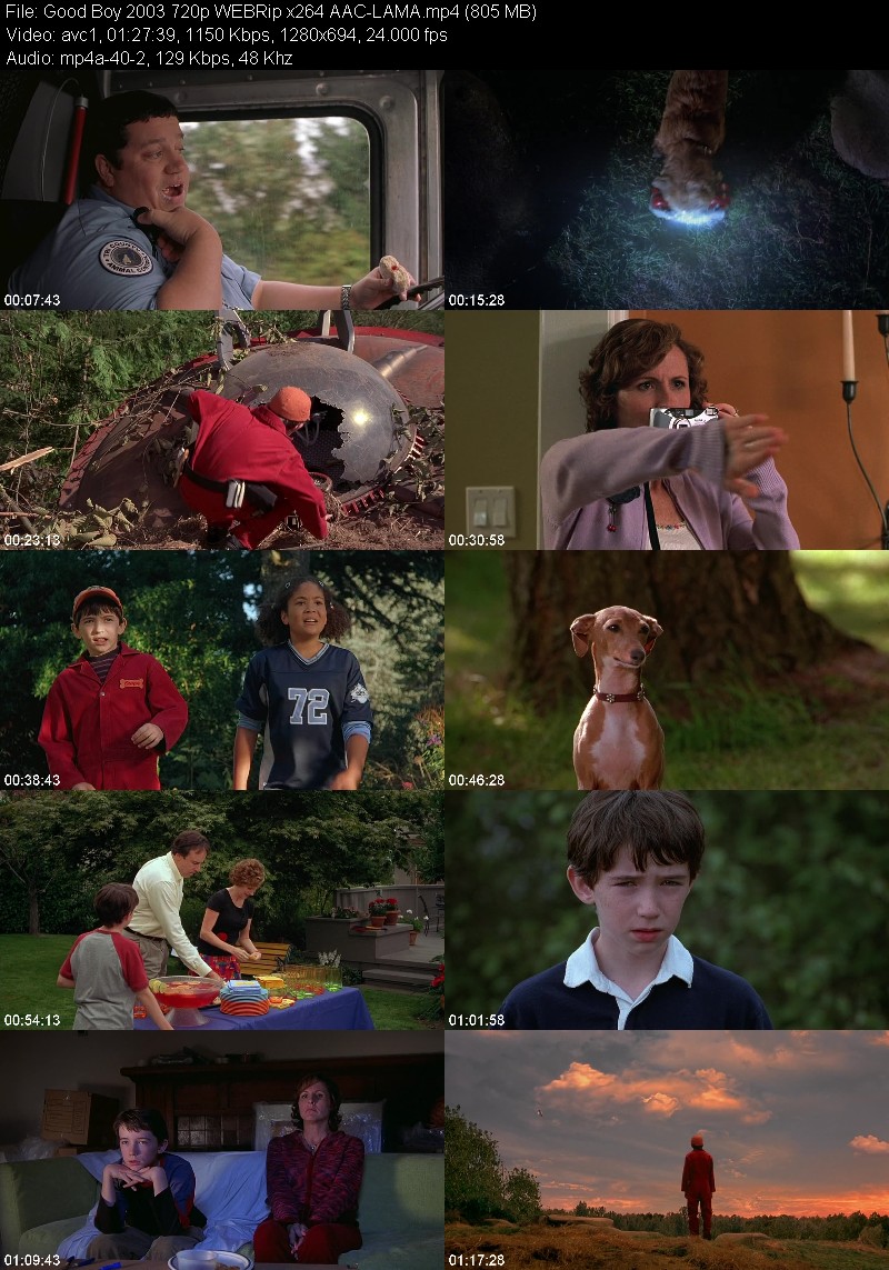 Good Boy (2003) 720p WEBRip-LAMA 08d0fd0e5fa01221a3f50e070da62f06