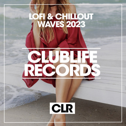VA - Lofi & Chillout Waves (2023) MP3