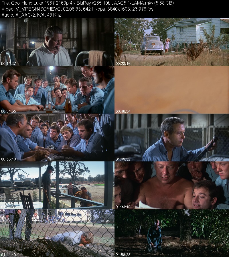 Cool Hand Luke (1967) 2160p 4K BluRay 5 1-LAMA 2acb5775afcd219f18be20590756d611