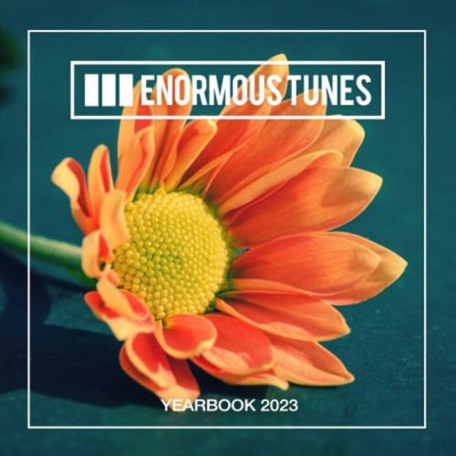 VA - Enormous Tunes - The Yearbook (2023) MP3