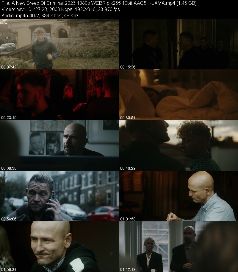 A New Breed Of Criminal (2023) 1080p WEBRip x265 10bit 5 1-LAMA B9bc87b3d6c6ceb05aa98bb194716131