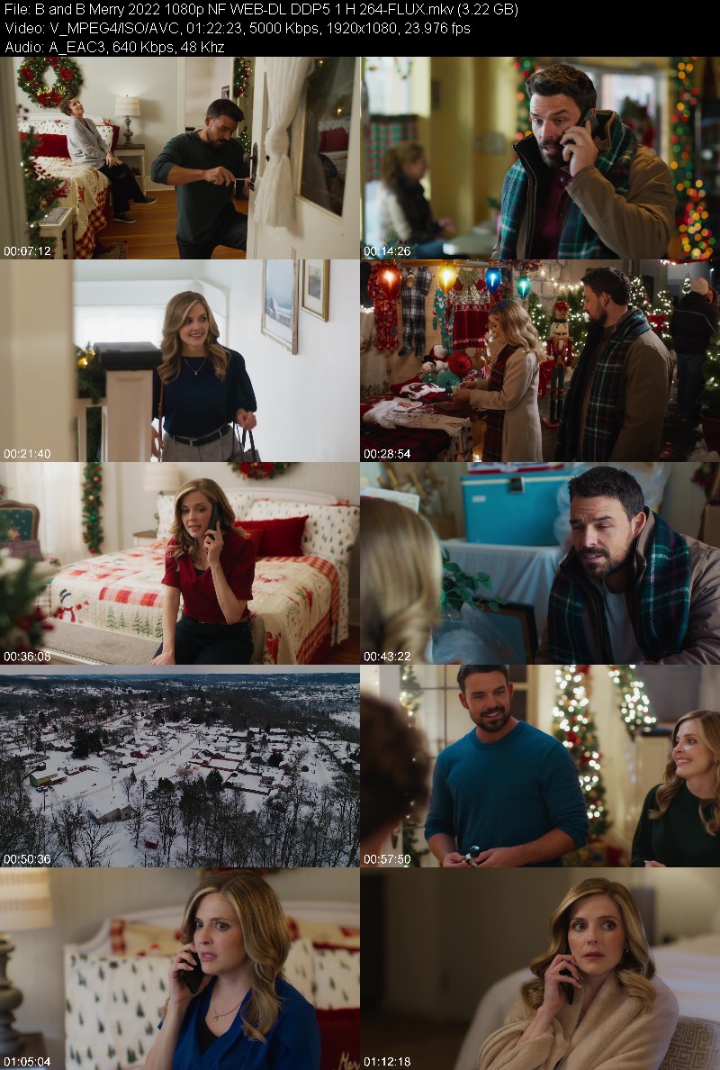 B and B Merry 2022 1080p NF WEB-DL DDP5 1 H 264-FLUX 7986ec703d76388785d0cae72087f538