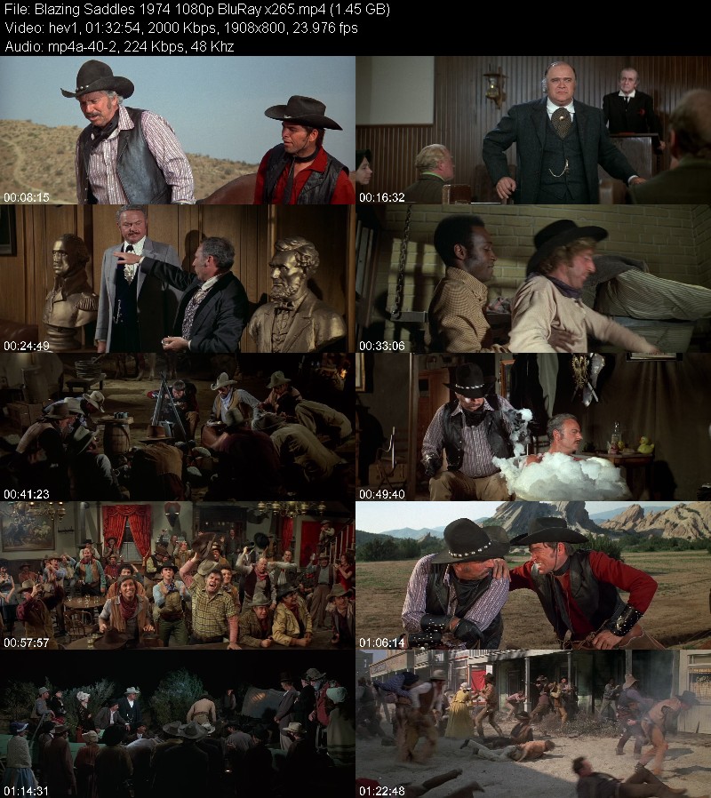 Blazing Saddles 1974 1080p BluRay x265 Ba2d5b074424723beb5463ccacfdbc3b