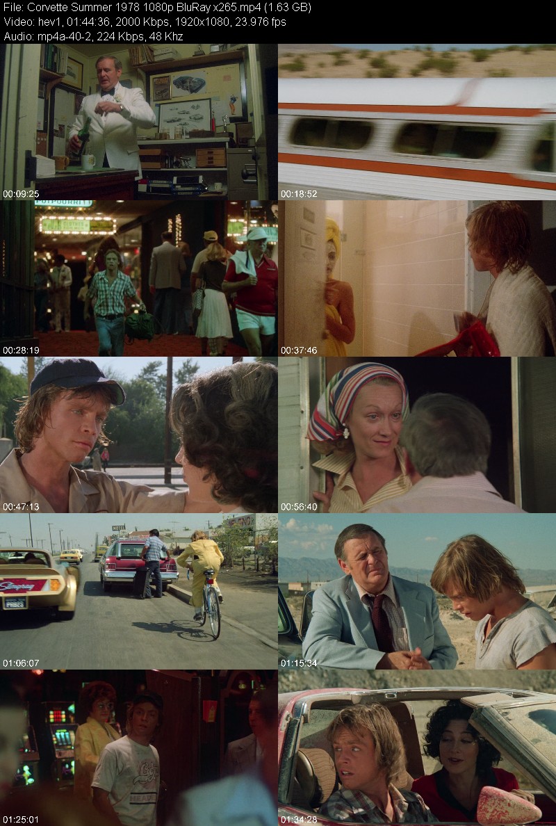 Corvette Summer 1978 1080p BluRay x265 Fed2e498a9e6164886df48c8eac2aa3f