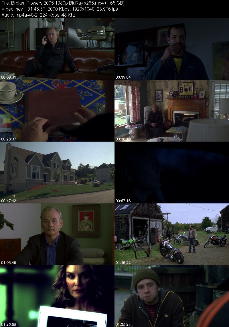 Broken Flowers 2005 1080p BluRay x265 Eea52ea2548afdb9418f6bdd1da21b71