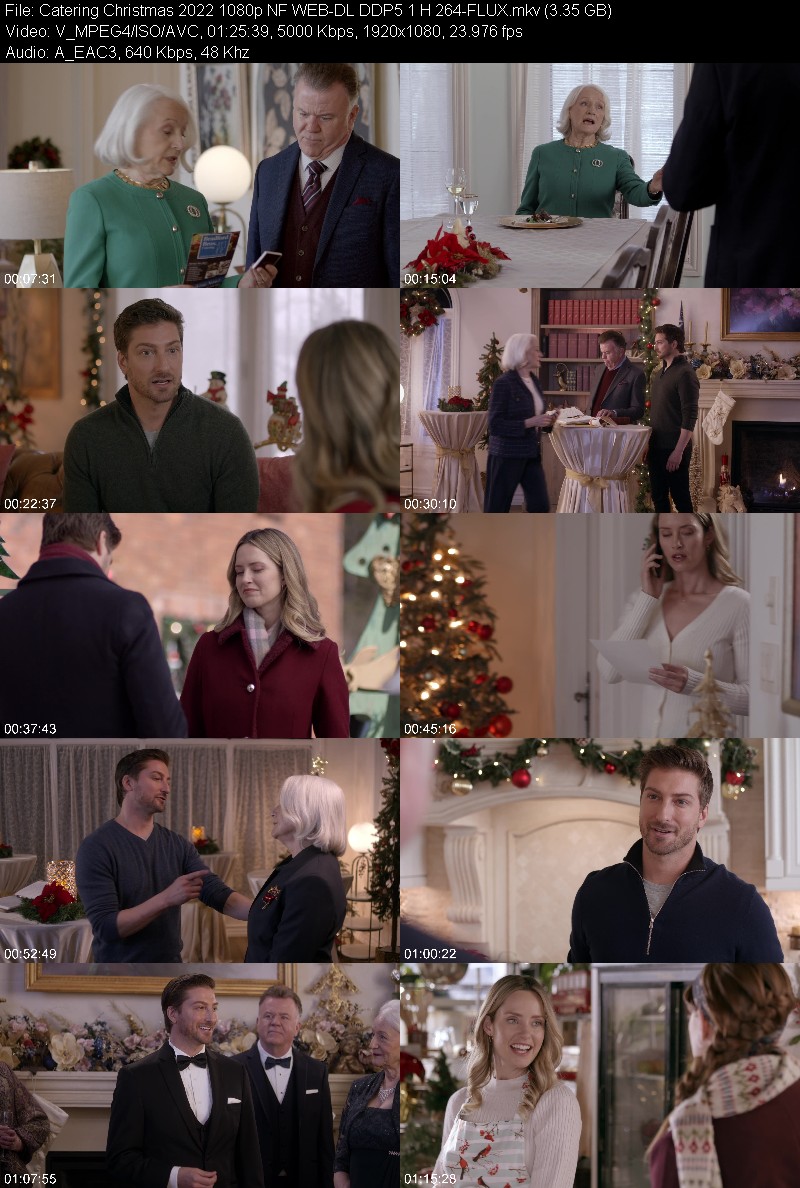Catering Christmas 2022 1080p NF WEB-DL DDP5 1 H 264-FLUX Cc6393cb91985938405629353f543391