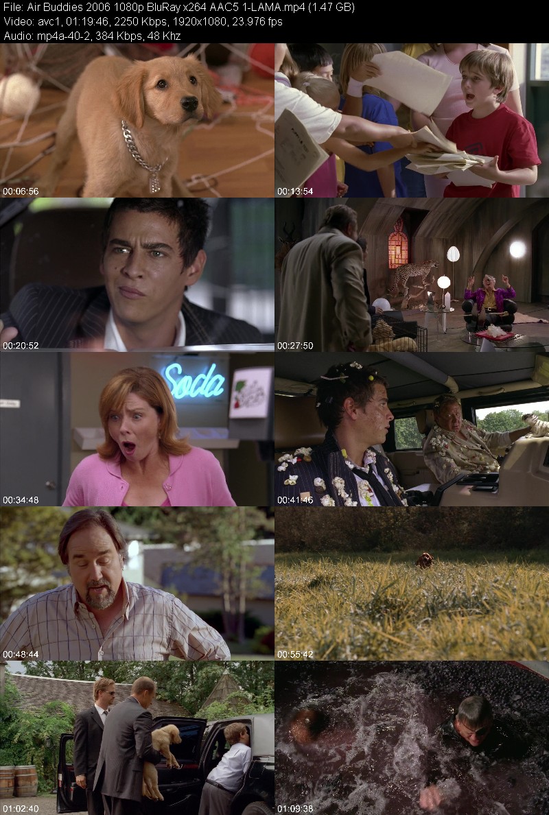 Air Buddies (2006) 1080p BluRay 5 1-LAMA B093edc4dadfcea09bcf36e03eaad4a4