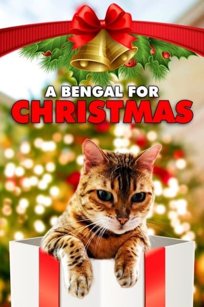 A Bengal For Christmas (2023) 1080p WEBRip-LAMA F49926deb621b3ed1f8dfc8a713851a5