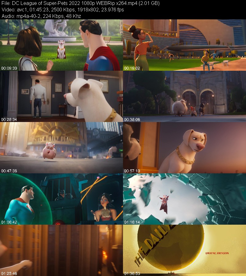 DC League of Super-Pets 2022 1080p WEBRip x264 4003d58690175cbb8eca71c9ce1c8bbc