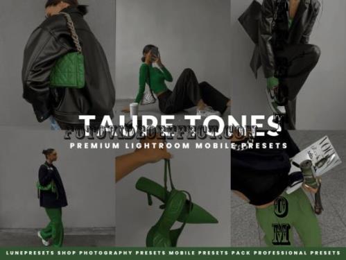 Taupe Tones Lightroom Presets
