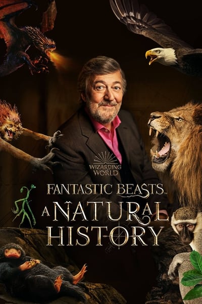 Fantastic Beasts A Natural History 2022 1080p WEBRip x265 Ff3b3dab90bee70398c64efa619407ef