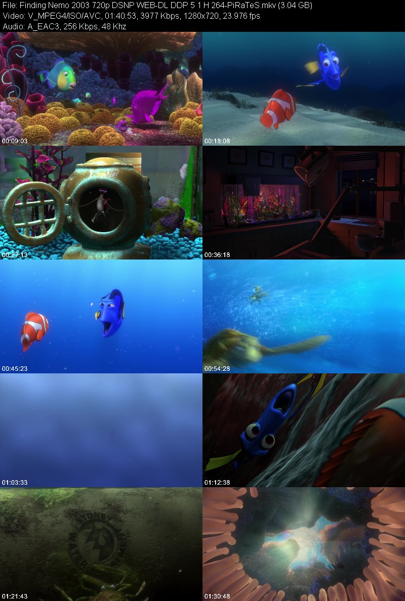 Finding Nemo 2003 720p DSNP WEB-DL DDP 5 1 H 264-PiRaTeS 90697e3e23711fdfe790510d037f53f0