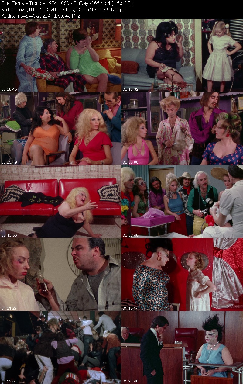 Female Trouble 1974 1080p BluRay x265 Abe4463706af6602a736355d43080df8