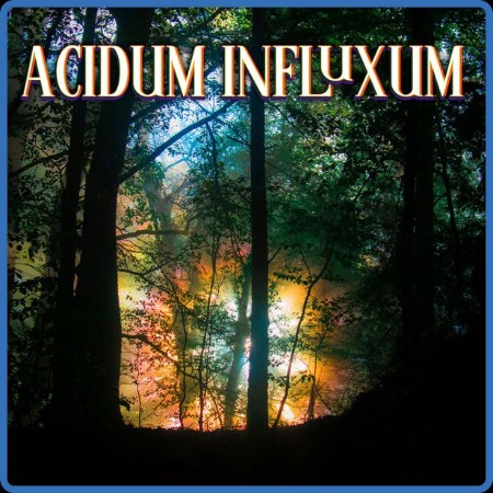 VA - Acidum Influxum (2023)