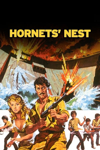 Hornets Nest 1970 1080p BluRay x265 1bf1ee2c23c169ab77272b28db94df12